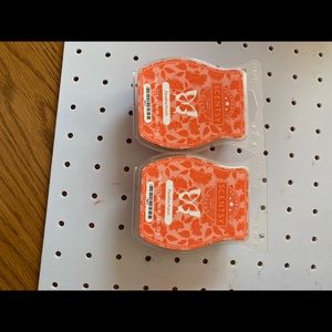 Scentsy paradise punch